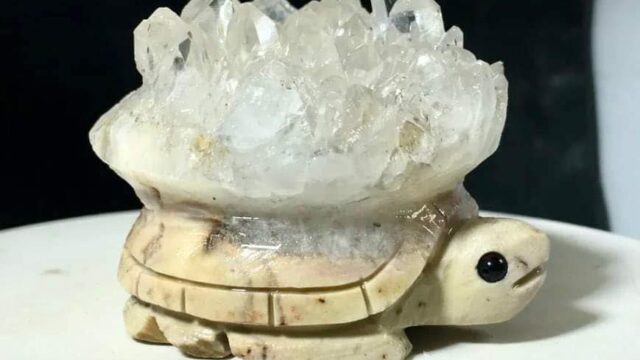 A decorative carved white turtle with clear crystals on top of the turtle shell