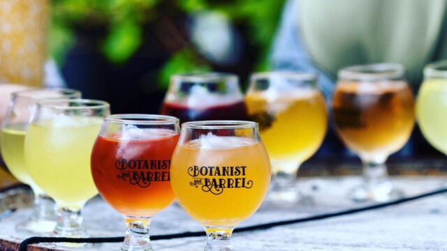 Glasses of different beer arranged on top of a barrel