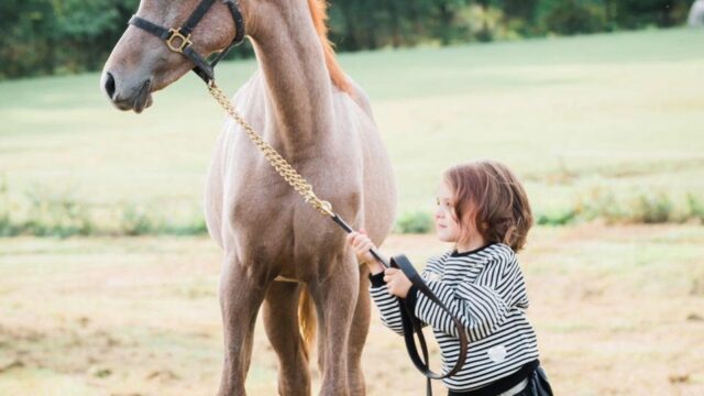 A young girl wearing a striped sweater and a pleated skirt holds the rein of a foal