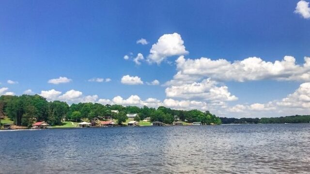 Houses on the lake surrounded by green trees