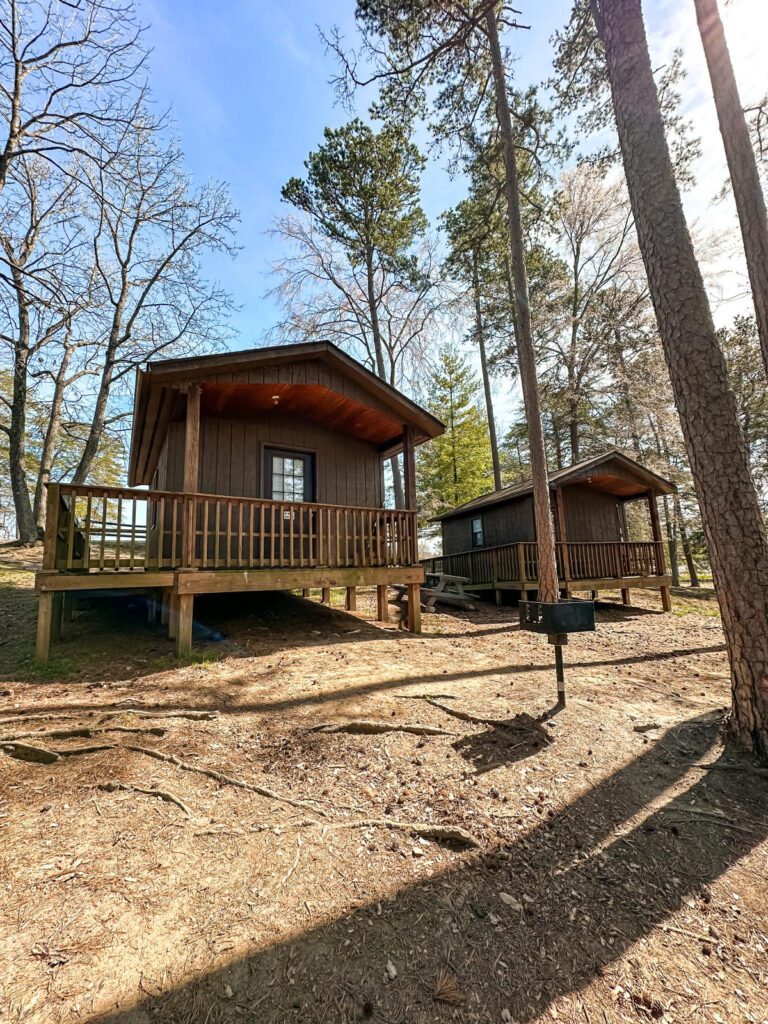 Two small brown wooden cabins with porches standing side by side in a forested area