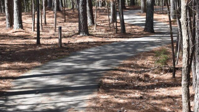 A curved paved walking path in a forested area