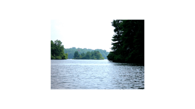 A photo of Hyco Lake with green trees surrounding the water