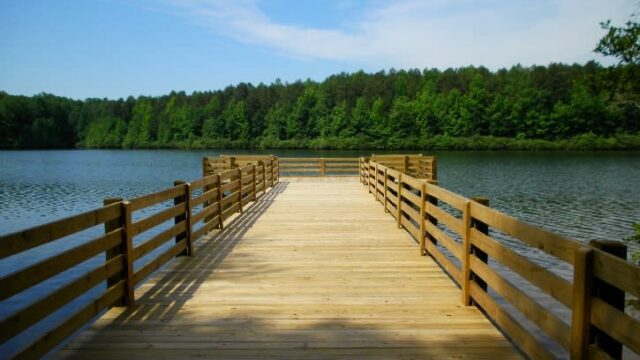 A wooden dock leads onto a lake surrounded by green trees