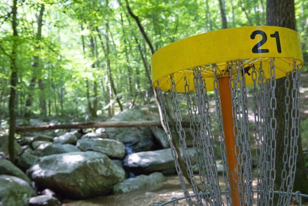 Disc golf equipment in a forest setting