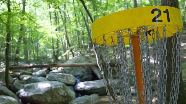 Disc golf equipment in a forest setting