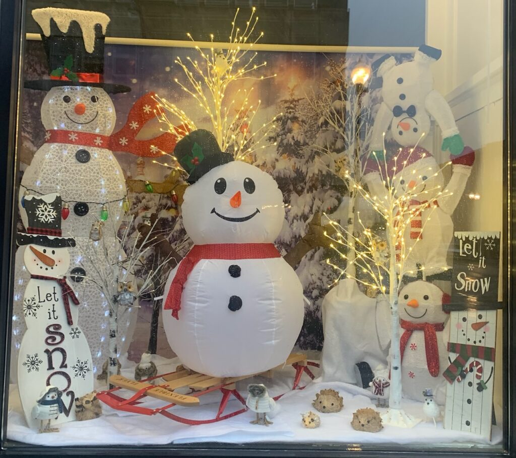 Person County Group Homes Holiday Window Display